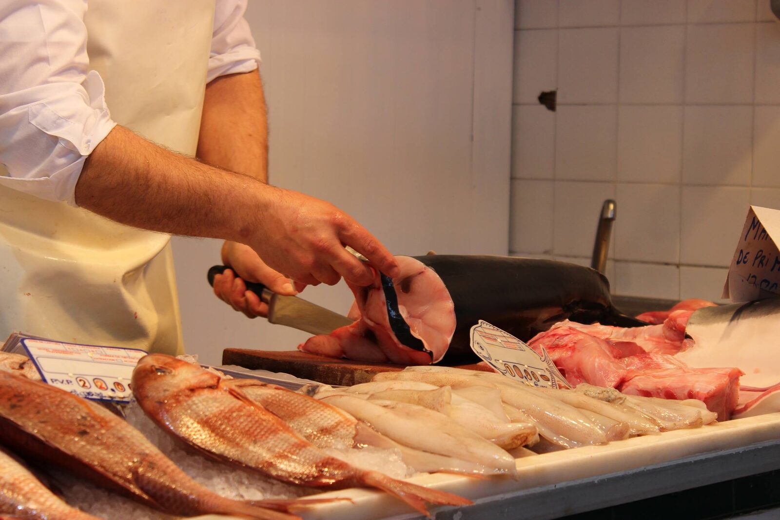 Descubre el Mercado de Abastos de Sanlúcar: Un Viaje Sensorial