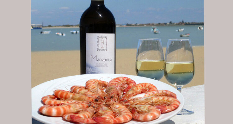 Ruta de la Manzanilla: Un Recorrido por las Bodegas de Sanlúcar de Barrameda