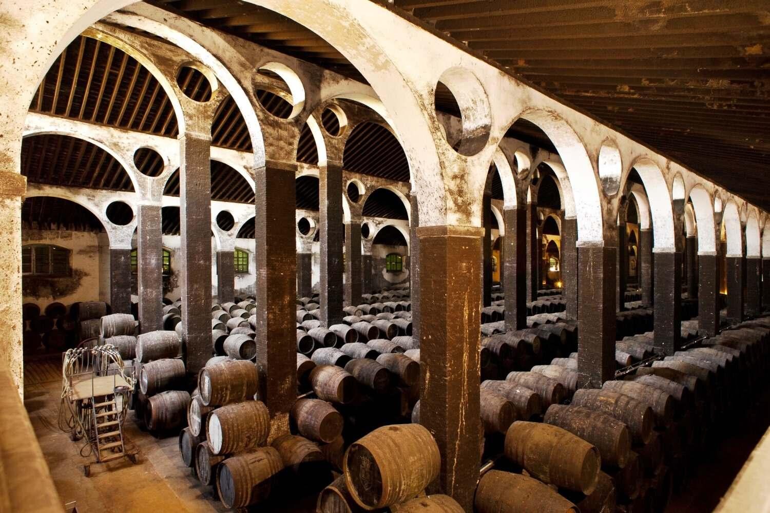 Una Joya Oculta: La Bodega Barbadillo en Sanlúcar de Barrameda